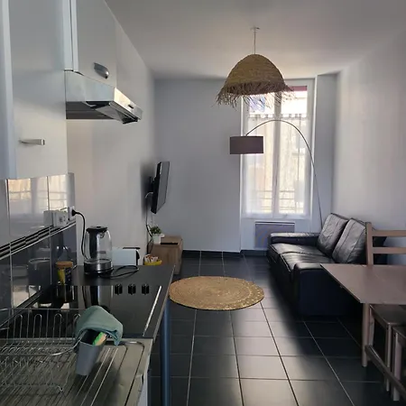 Appt Centre Gare Hopital Iut Roanne