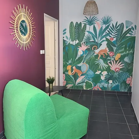 Apartment Appt Centre Gare Hopital Iut Roanne