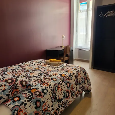 Appt Centre Gare Hopital Iut Apartmán Roanne